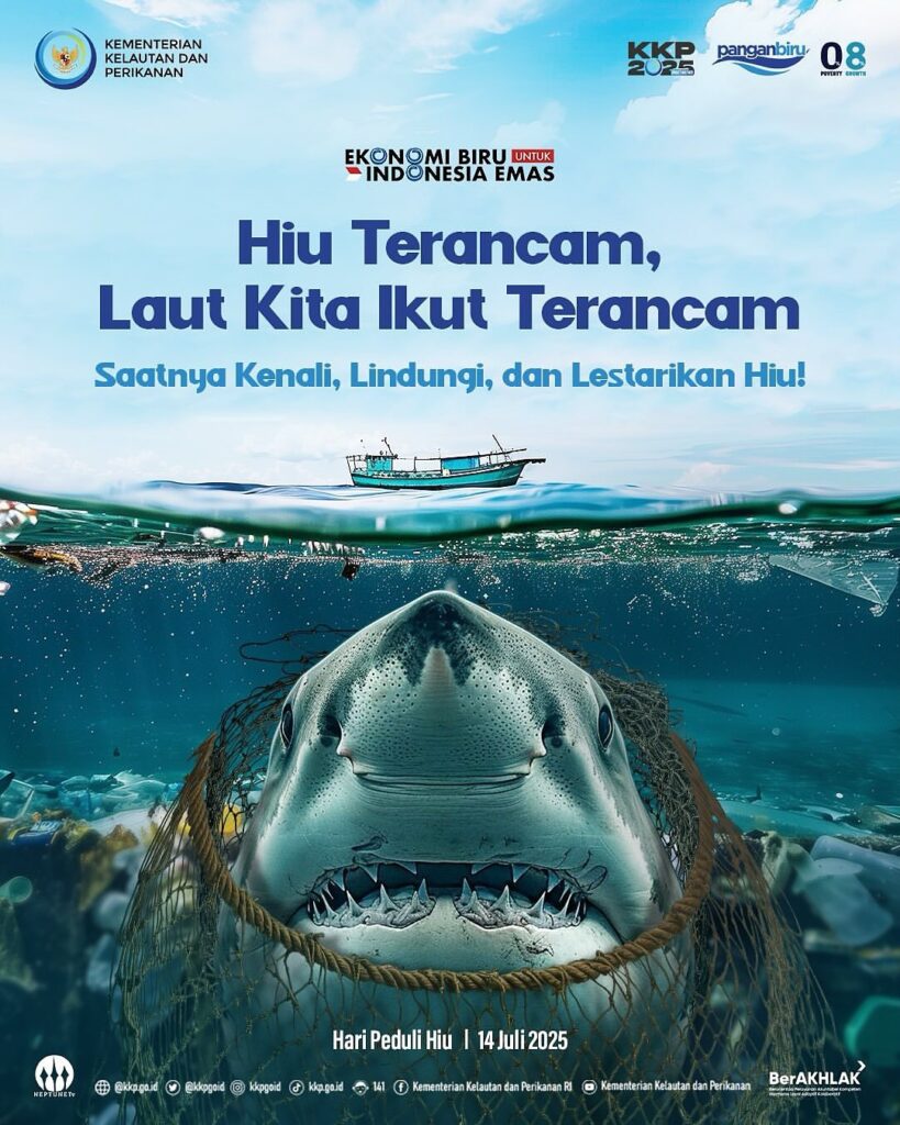 Hiu Terancam, Laut Kita Ikut Terancam!