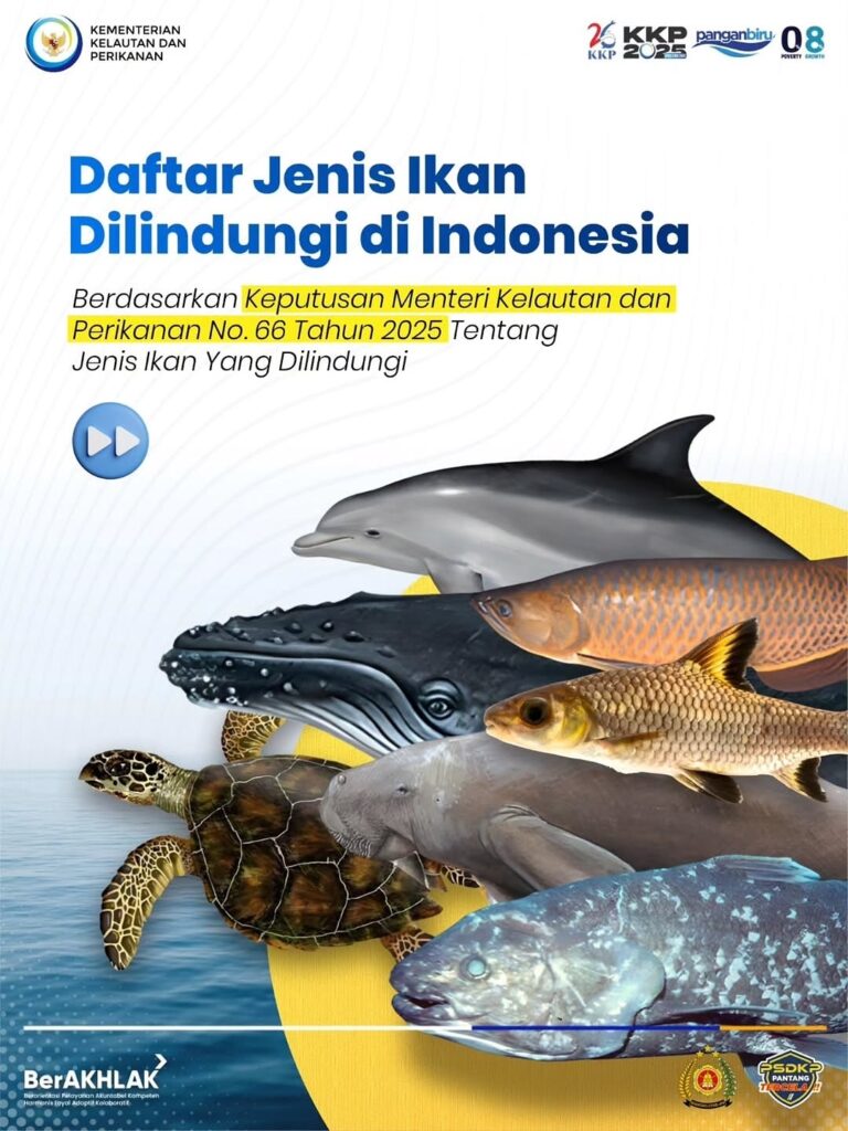 Daftar lengkap jenis ikan yang dilindungi di Indonesia