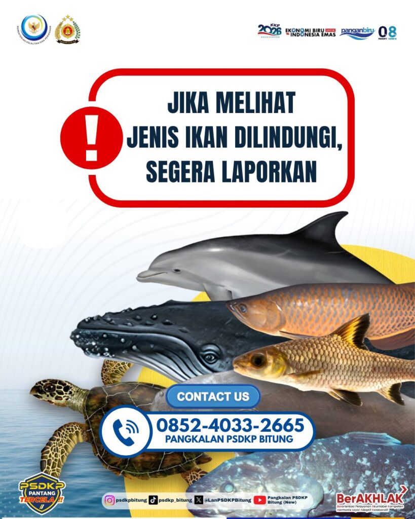 Jika Melihat Jenis Ikan Diindungi Segera Laporkan