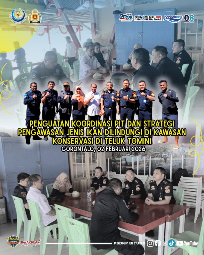 Penguatan Koordinasi PIT dan Strategi Pengawasan Jenis Ikan Dilindungi di kawasan konservasi Teluk Tomini